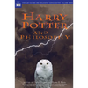 Harry Potter and Philosophy: If Aristotle Ran Hogwarts - Paperback