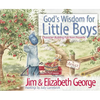 God's Wisdom for Little Boys: Character-Building Fun from Proverbs - Hardcover