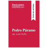 Pedro Páramo de Juan Rulfo (Guía de lectura): Resumen y análisis completo - Paperback