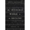 The Invisible World Is in Decline Book IX - Paperback