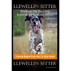 Llewellin Setter Training, Dog Care, Dog Behavior, for Llewellin Setters By D!G THIS DOG Training, Training Begins From the Car Ride Home, Llewellin S - Paperback