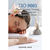 ISO 9001 for all Massage Therapy, Physiotherapy and Chiropractic Clinics: ISO 9000 For all employees and employers - Paperback