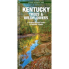 Kentucky Trees & Wildflowers: A Folding Pocket Guide to Familiar Plants