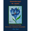Chemotherapy? No thanks: The miracle of my healing from cancer, metastases and - Paperback