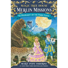 Moonlight on the Magic Flute - Paperback