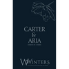 Carter & Aria: Endless - Paperback