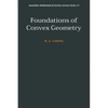 Foundations of Convex Geometry - Paperback