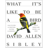 What It's Like to Be a Bird: From Flying to Nesting, Eating to Singing--What Birds Are Doing, and Why - Hardcover