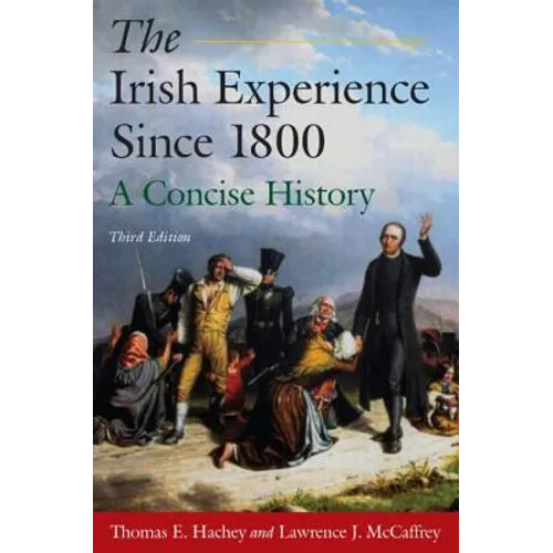 The Irish Experience Since 1800: A Concise History: A Concise History - Paperback
