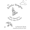 The Little Dragon: Who Wanted to Touch the Clouds - Paperback