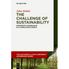 The Challenge of Sustainability: Corporate Governance in a Complicated World - Paperback
