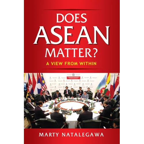 Does ASEAN Matter?: A View from Within - Paperback
