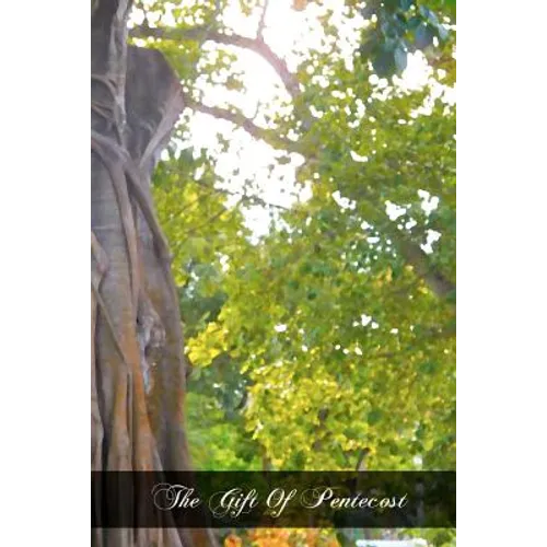 The Gift Of Pentecost: Meditations On The Holy Ghost - Paperback