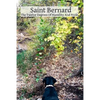 Saint Bernard The Twelve Degrees Of Humility And Pride - Paperback
