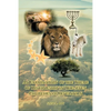 An Examination of the Theme of Discipleship in The Seven Churches of Revelation - Paperback