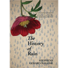 The History of Rain - Paperback