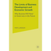 The Limits of Business Development and Economic Growth: Why Business Will Need to Invest Less in the Future - Paperback