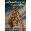 Deadfreeze: A Zombie Novel - Paperback