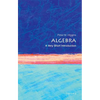 Algebra: A Very Short Introduction - Paperback