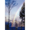 Soulful Poems - Paperback