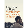 The Labor of Hope: Meritocracy and Precarity in Egypt - Paperback