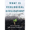 What Is Ecological Civilization: Crisis, Hope, and the Future of the Planet - Paperback