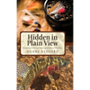 Hidden in Plain View: Recognizing the Obvious-Exploiting the Obscure in Fly Fishing - Hardcover