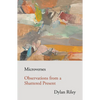Microverses: Observations from a Shattered Present - Paperback