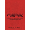 Misunderstanding Addiction: Overcoming Myth, Mysticism, and Misdirection in the Addictions Treatment Industry - Paperback