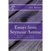 Essays from Seymour Avenue: Me, Ariel Castro, and the Captive Cleveland Women - Paperback