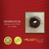 Momentum: Montessori, A Life in Motion - Paperback