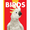 Curious about Birds - Paperback