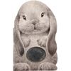Furry Bunny - Board Book