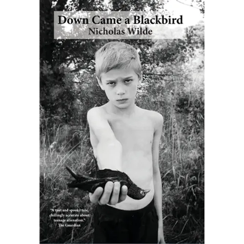 Down Came a Blackbird - Hardcover
