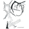 Kassondra 2 - Paperback