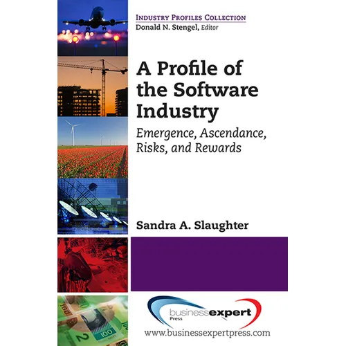 A Profile of the Software Industry: Emergence, Ascendance, Risks, and Rewards - Paperback