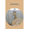 Citycarrier - Paperback