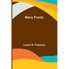 Many Fronts - Paperback