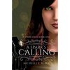 A Spark's Calling - Paperback