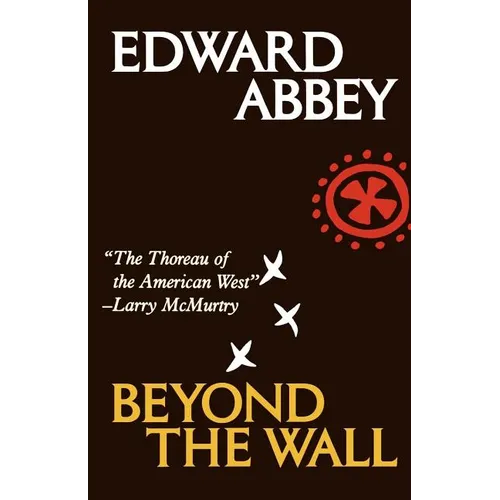 Beyond the Wall: Essays from the Outside - Paperback