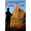 Public Trust - Paperback