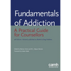 Fundamentals of Addiction: A Practical Guide for Counsellors - Paperback