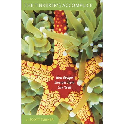 Tinkerer's Accomplice: How Design Emerges from Life Itself - Paperback