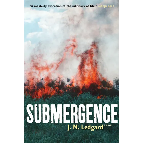 Submergence - Paperback