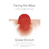 Facing the Wave: A Journey in the Wake of the Tsunami - Paperback