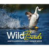 Wild Birds: North America's Most Unique Birds - Paperback