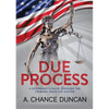 Due Process: A defendant's guide through the criminal injustice system - Paperback