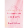 Resurrection and Spirit: From the Pentateuch to Luke-Acts - Hardcover