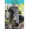 Anteaters - Paperback