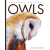 Owls - Paperback